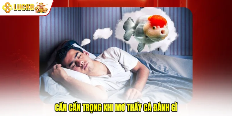 Cần cẩn trọng khi mơ thấy cá đánh gì