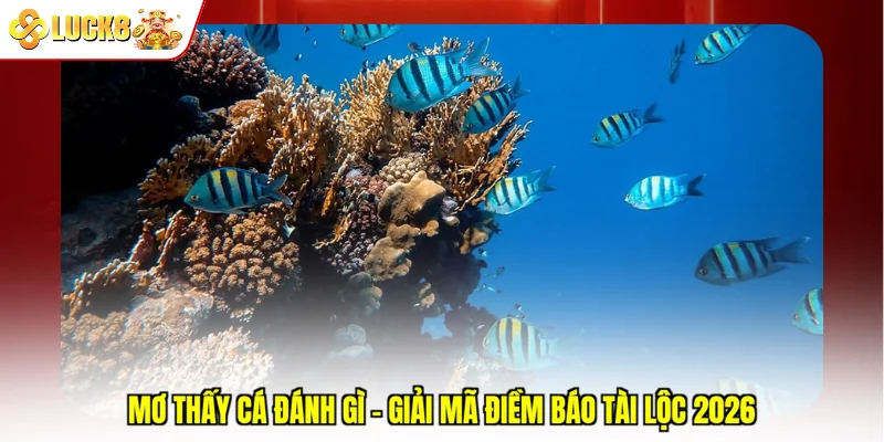 Mơ Thấy Cá Đánh Gì - Giải Mã Điềm Báo Tài Lộc 2026