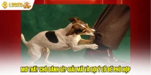 Mơ Thấy Chó Đánh Gì? Giải Mã Và Gợi Ý Lô Đề Phù Hợp