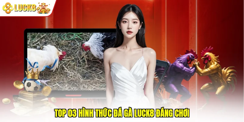 Top 03 hình thức đá gà Luck8 đáng chơi