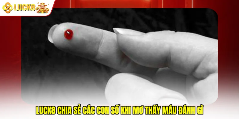 Luck8 chia sẻ các con số khi mơ thấy máu đánh gì