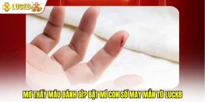 Mơ Thấy Máu Đánh Gì? Bật Mí Con Số May Mắn Từ Luck8