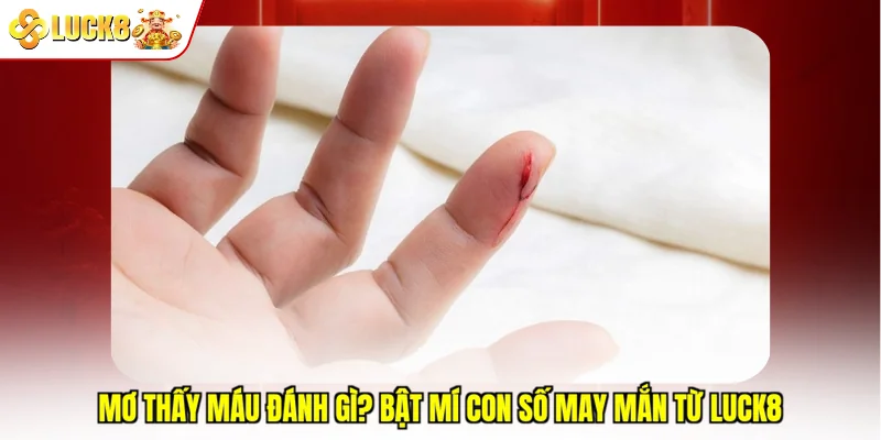 Mơ Thấy Máu Đánh Gì? Bật Mí Con Số May Mắn Từ Luck8