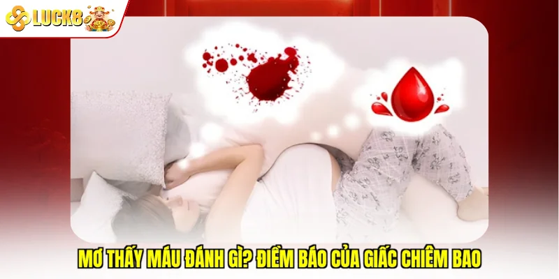 Mơ thấy máu đánh gì? Điềm báo của giấc chiêm bao